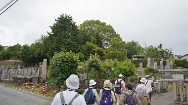攝取院の外部墓地