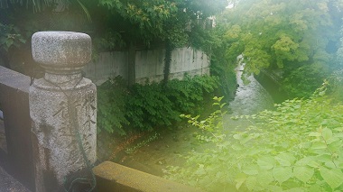 深草