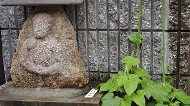 深草