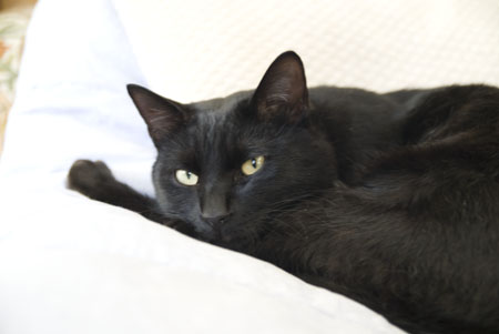 kuro