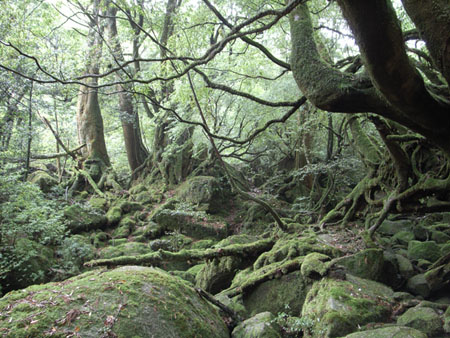 mononoke
