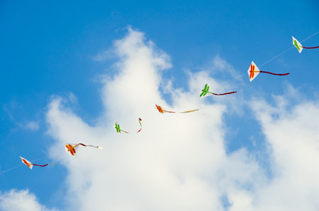 kite