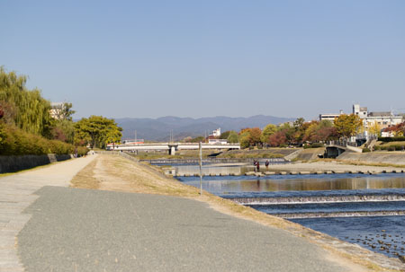 L1007190.jpg