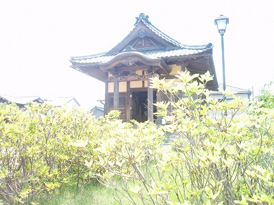20110709126