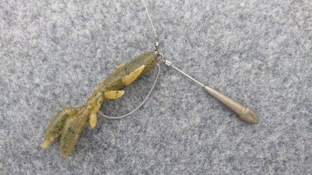 DSC_0303.JPG