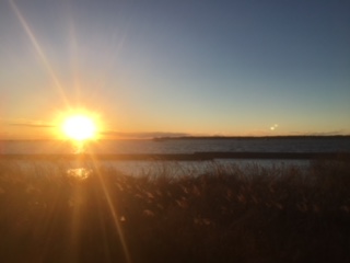 image1.jpeg