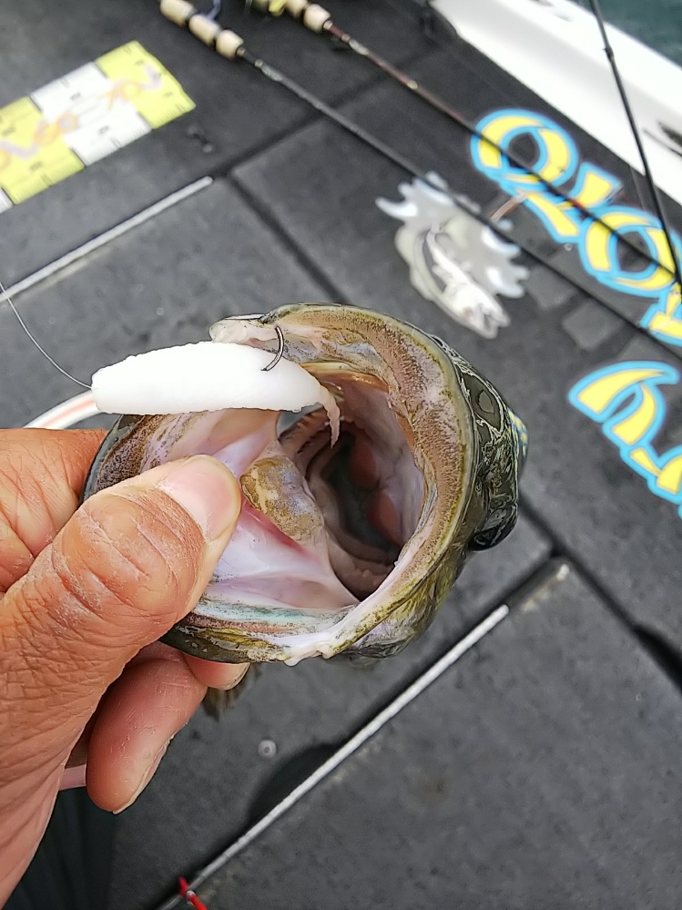 DSC_0476.JPG