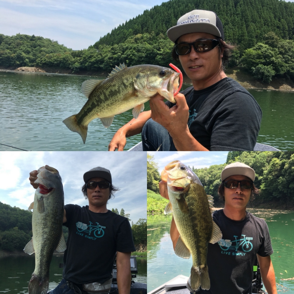 IMG_20180628_202818.jpg