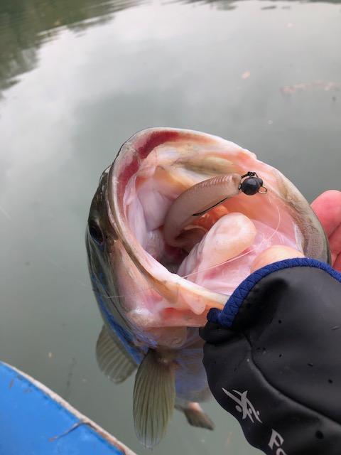 image1.jpeg