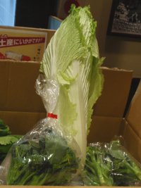 やなもり野菜