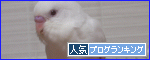 うちのインコで人気ブログランキングのバナーを作りました