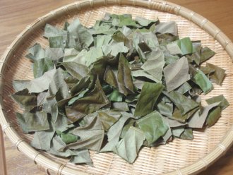 葉っぱ裁断