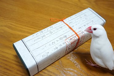 厄除けまんじゅう