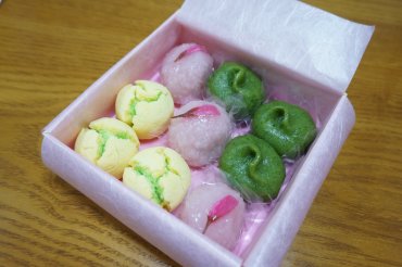 ひなの節
