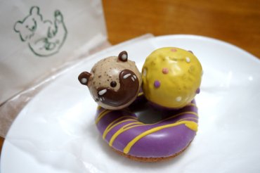 タヌキ