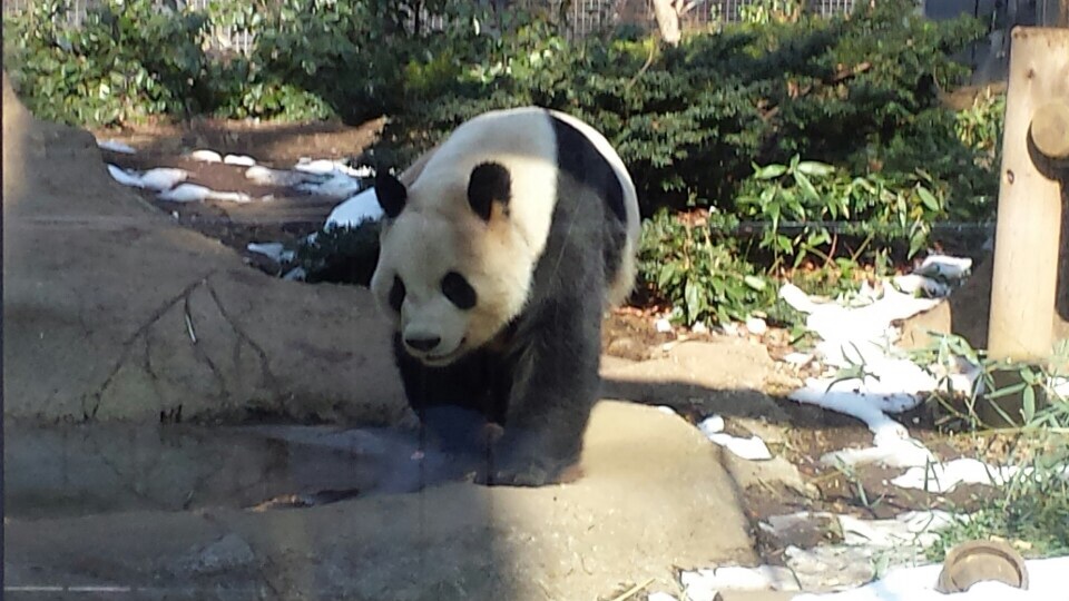 動物園 パク ヘジョン韓国語教室