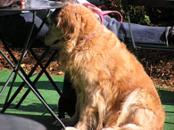 20061116002