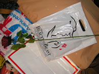 20061125004