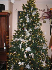 20061211002.jpg