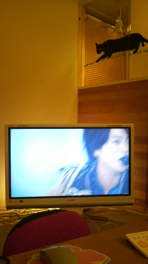 2011012815350000.jpg