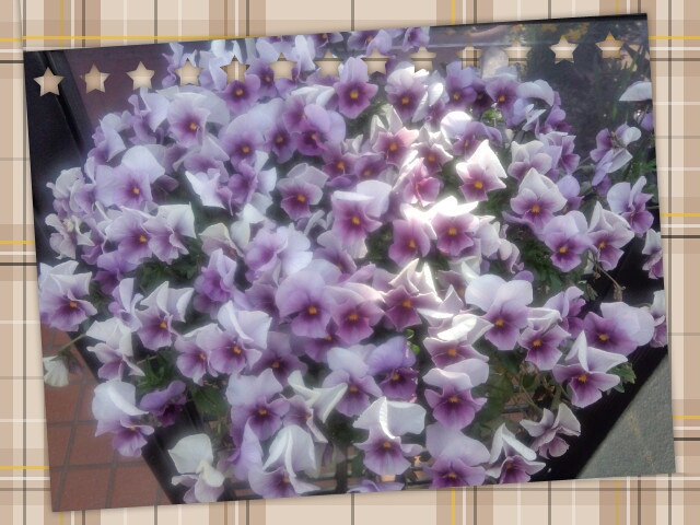 LINEcamera_share_2013-04-05-16-35-14.jpg
