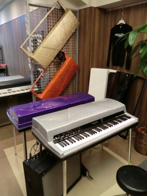 CIMG0007.JPG