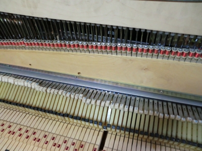 CIMG0747.JPG