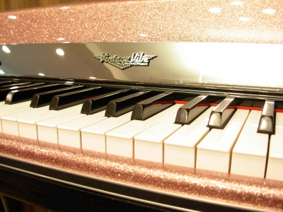 DSCN6445.JPG