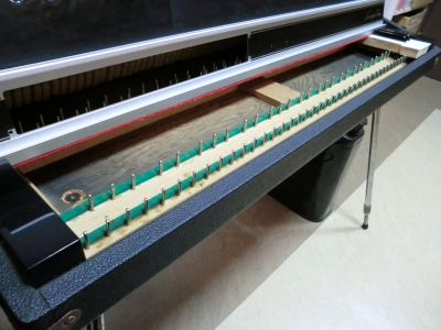 CIMG0854.JPG