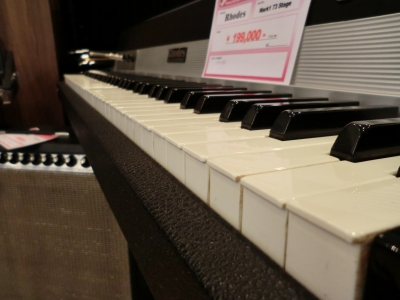 CIMG0930.JPG