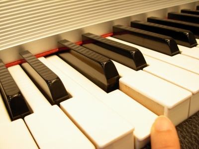 DSCN6610.JPG