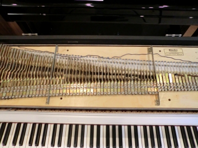 CIMG0991.JPG