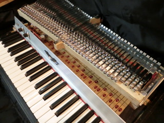 CIMG1203.JPG