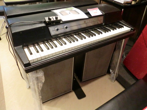 CIMG1235.JPG