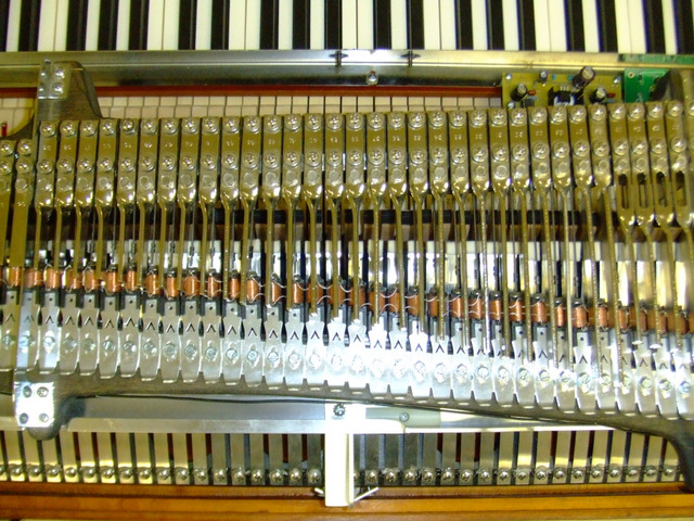 DSCF2888.JPG