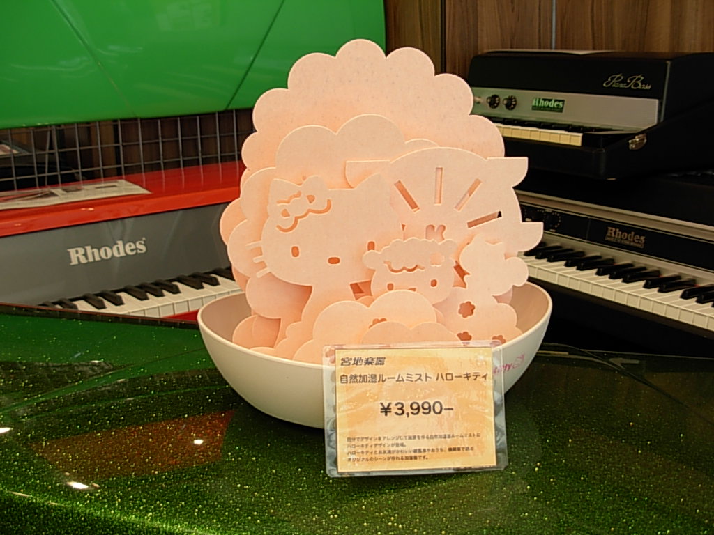 DSCN7523.JPG