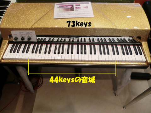 CIMG1665.JPG