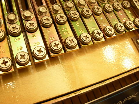 DSCN8608.JPG