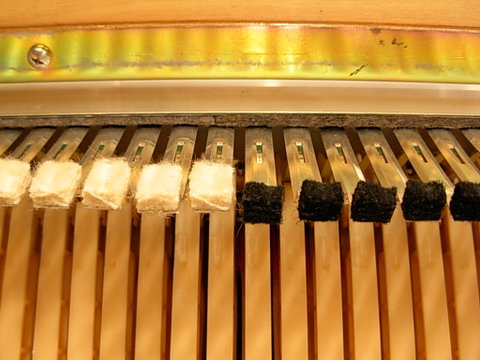 DSCN8611.JPG