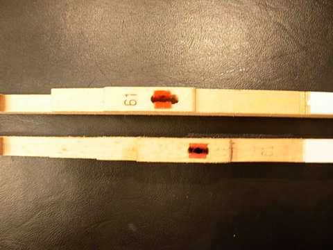 DSCN8613.JPG