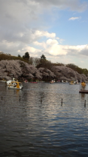 DCF00038.jpg