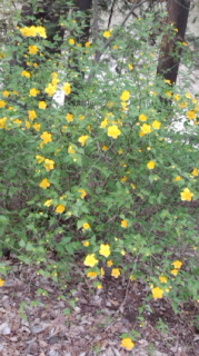DCF00041.jpg