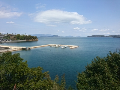 DSC_0591.jpg