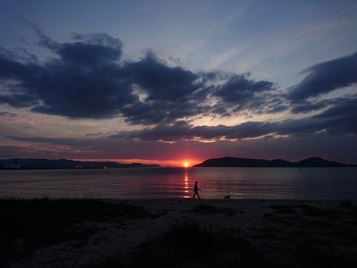 DSC_0689.jpg