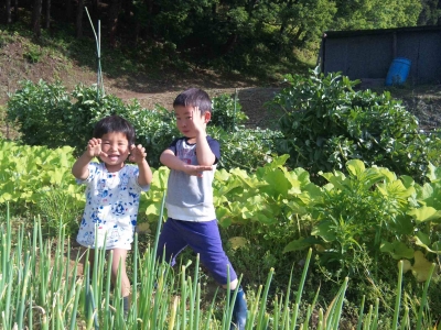 赤田の朝