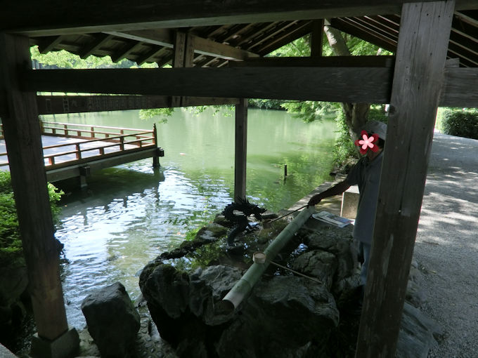 高鴨神社の池.jpg