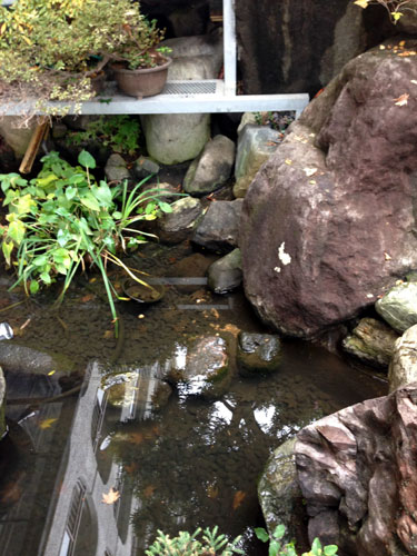 文京区)N様宅 池