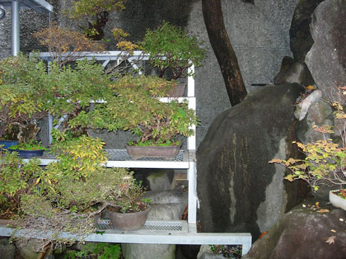 文京区)N様宅 1カメ設置前