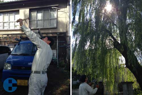 ロープを木に通す作業