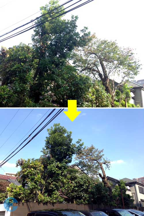 作業の進行状況(